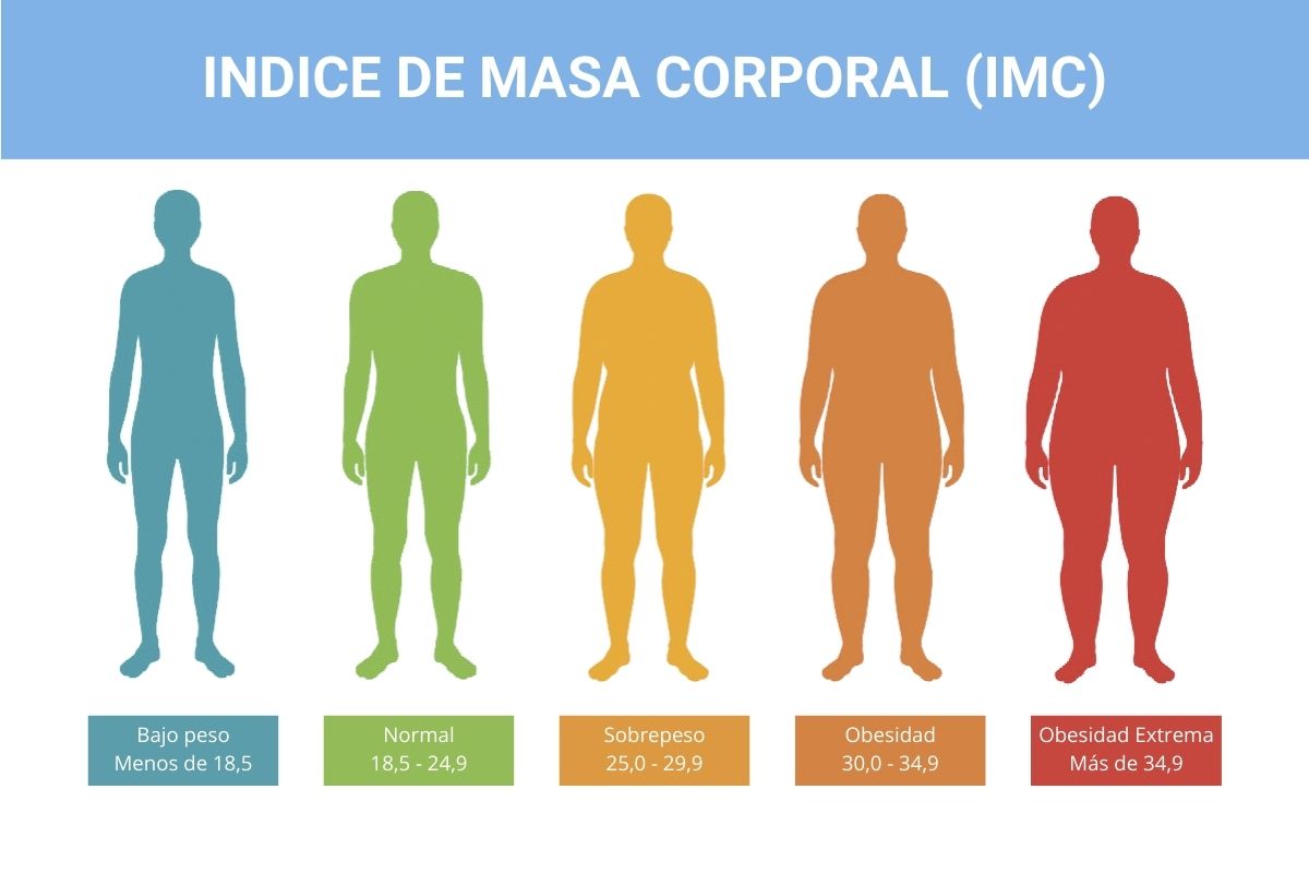 Índice de Masa Corporal (IMC)
